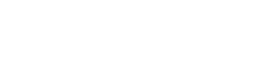 logo_solution_lightspeed