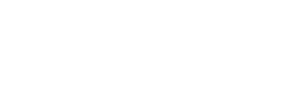 logo_solution_shopify